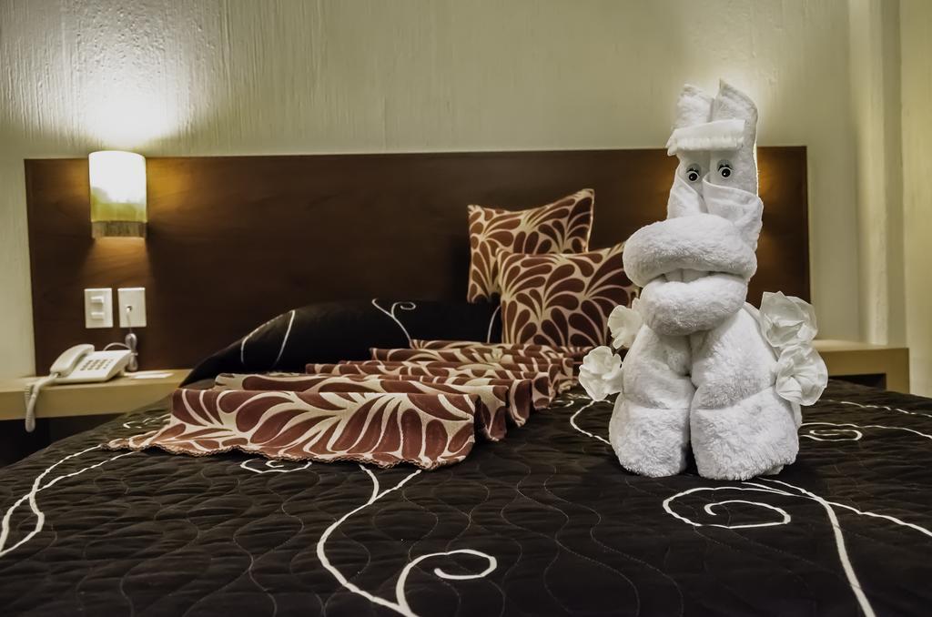 Hotel Petit Tehuacan Bilik gambar